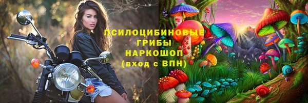 мяу мяу мука Корсаков