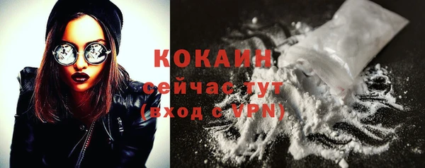 мяу мяу мука Корсаков