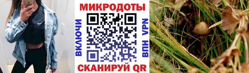 Галлюциногенные грибы Cubensis  Купить  Арсеньев 