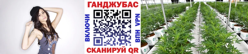 Канабис SATIVA & INDICA  Купить  Арсеньев 